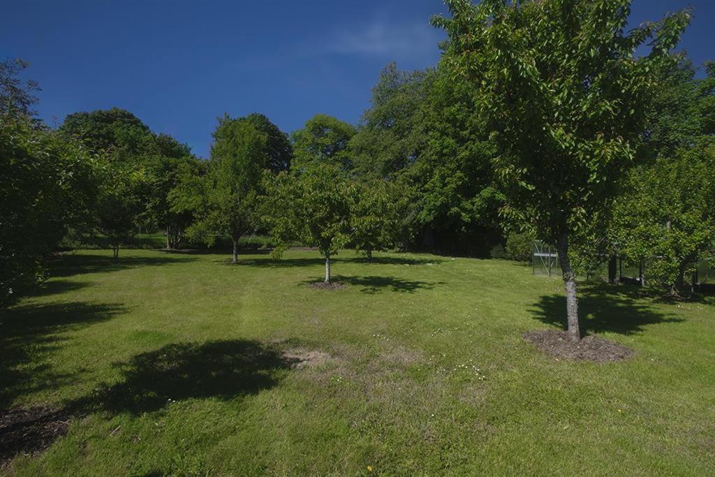 Le Logis Du Regisseur Panzió Charny-Oree-de-Puisaye Kültér fotó